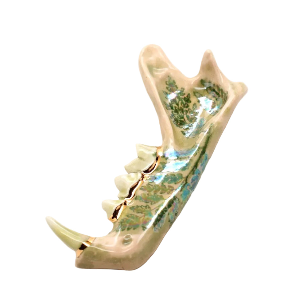 ceramic cat jaw i