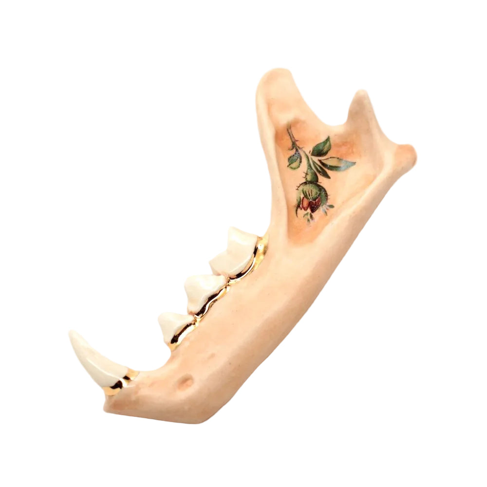 ceramic cat jaw ii