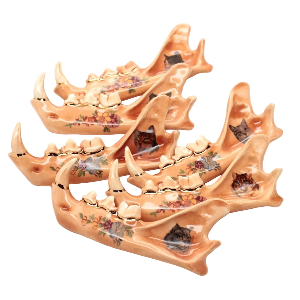 ceramic bobcat jaw iv