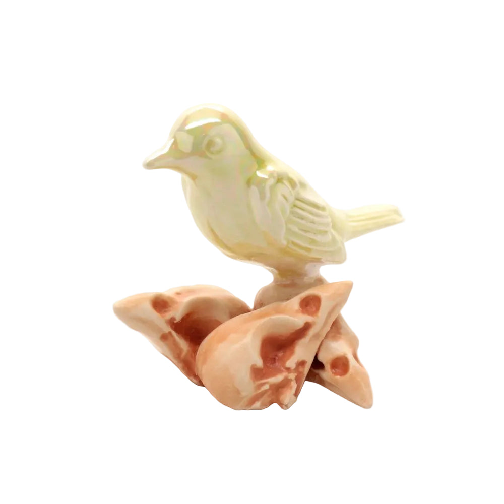 skull bird ii