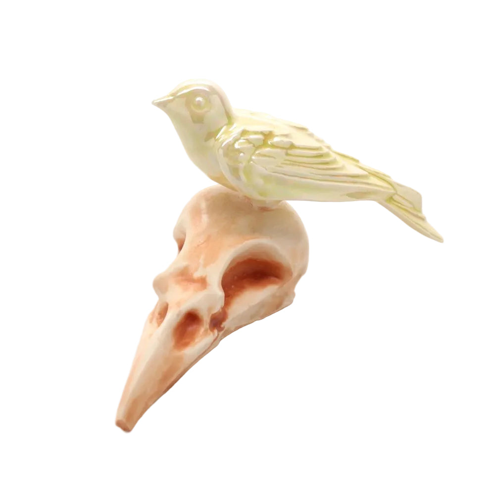 skull bird iii