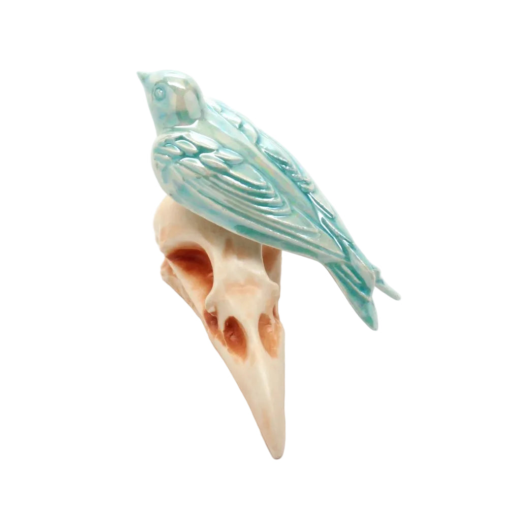 skull bird iv
