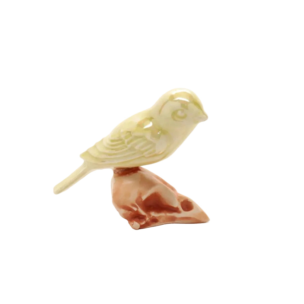 skull bird iix