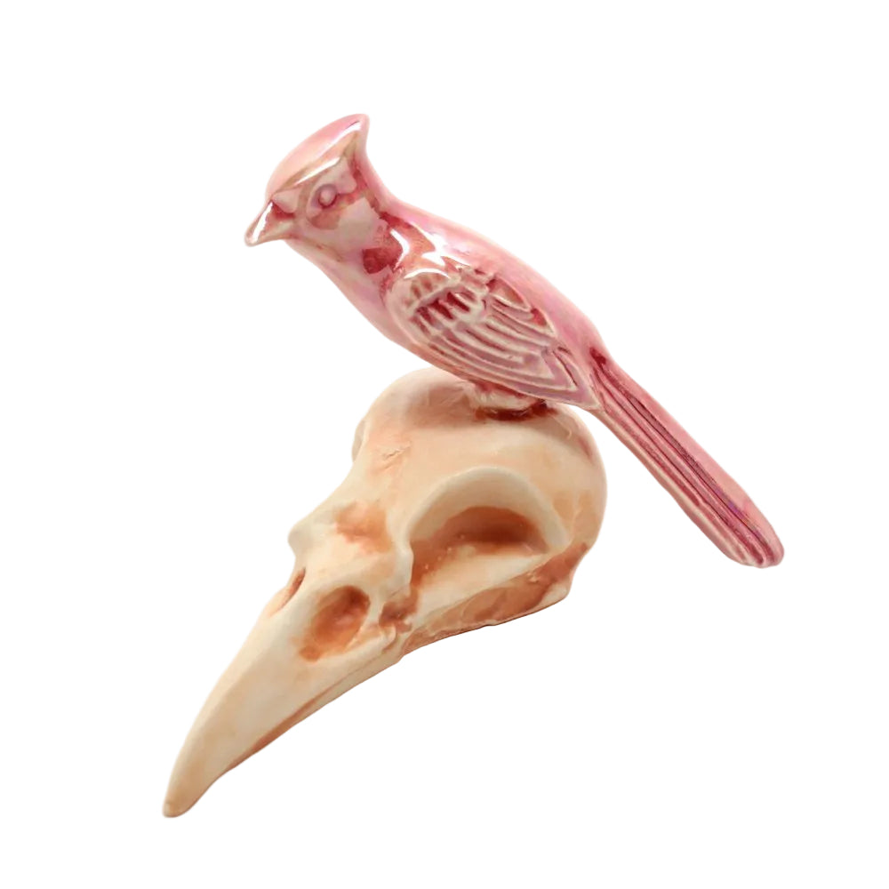 skull bird v