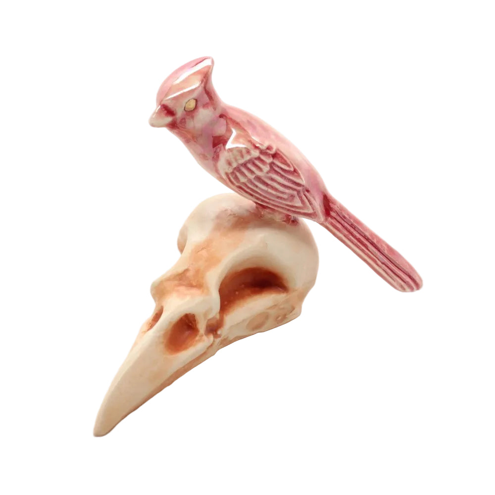 skull bird vi