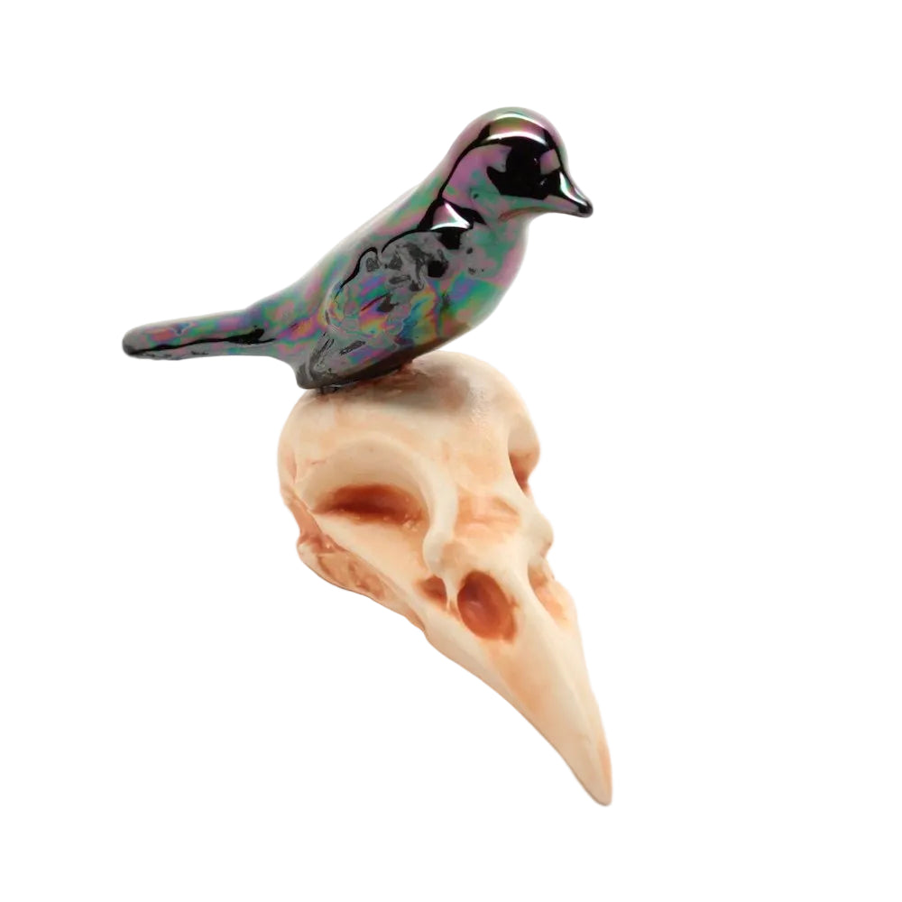 skull bird vii