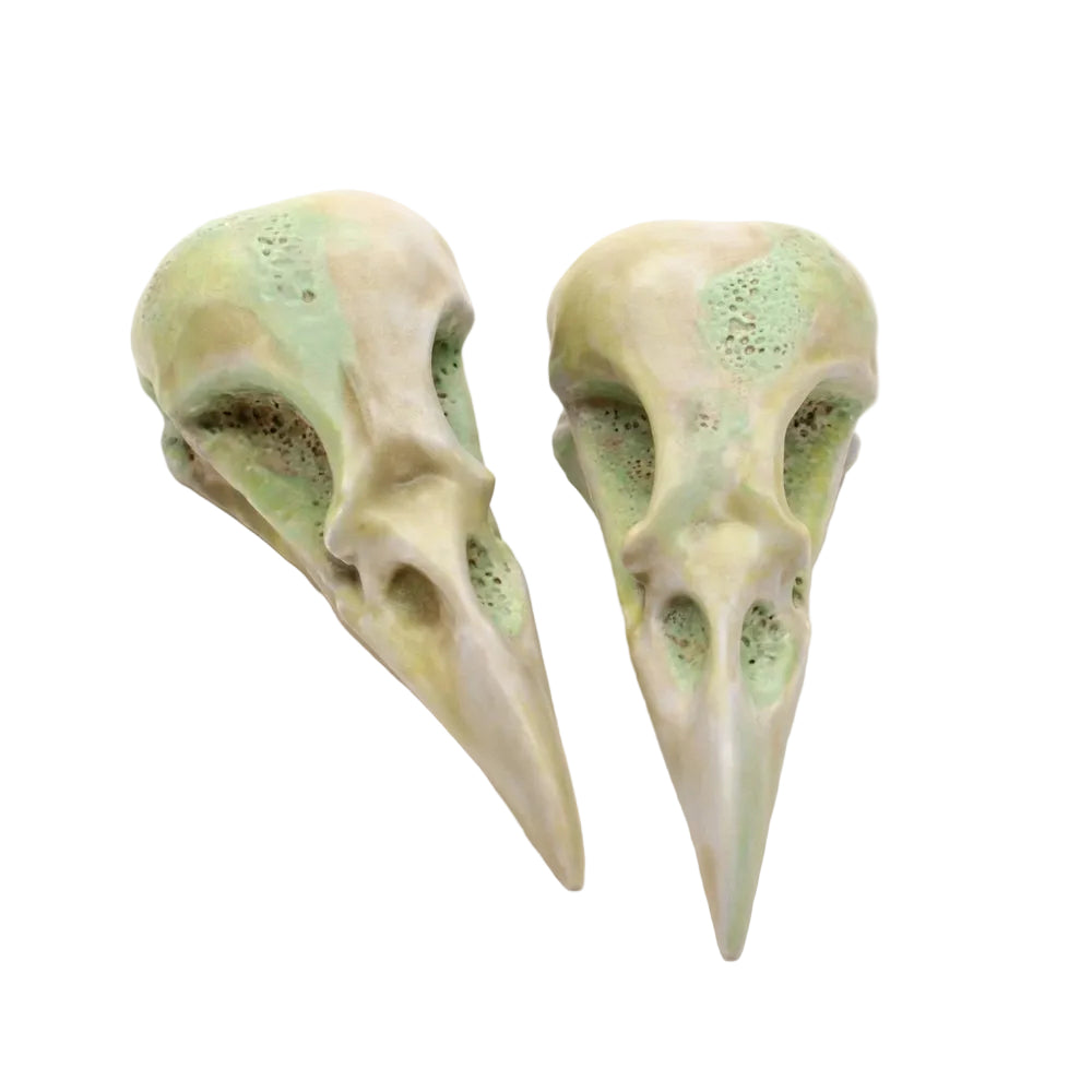 ceramic magpie skull - grime