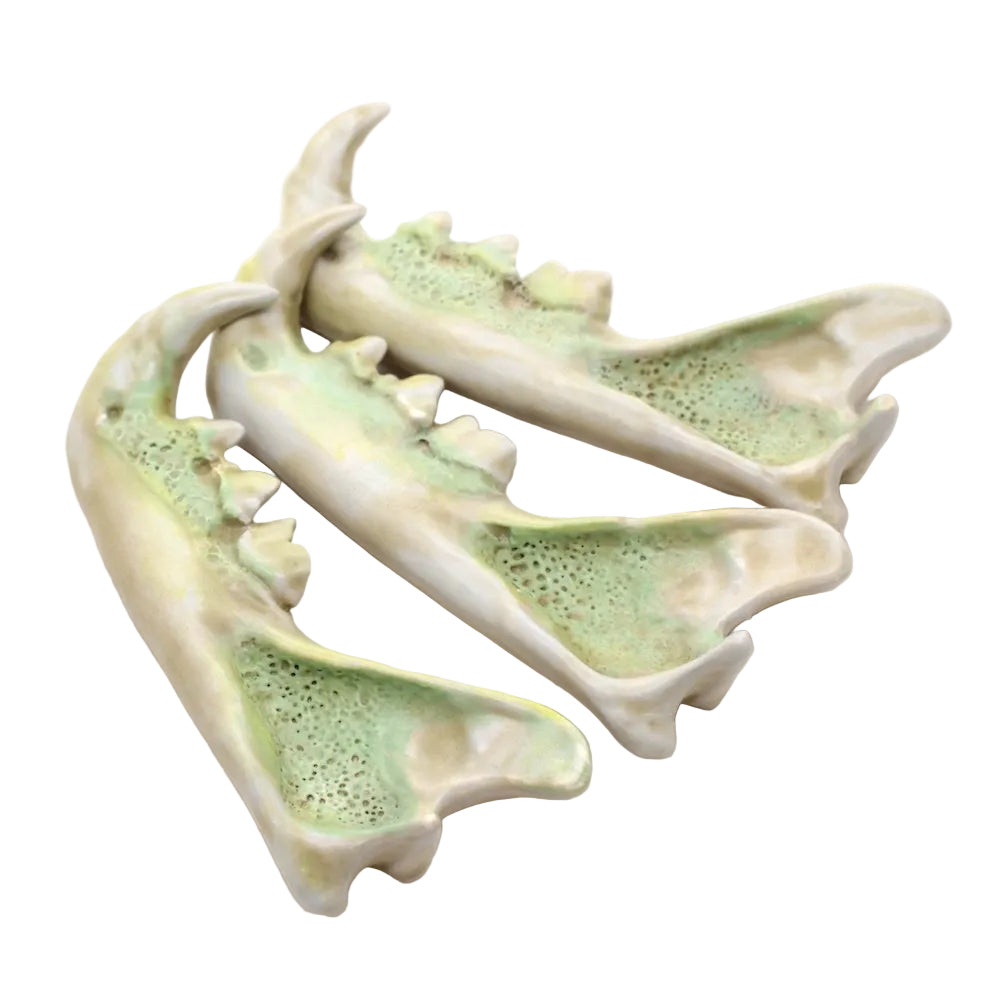 ceramic bobcat jaw - grime