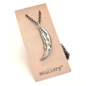 sterling coyote tooth necklace