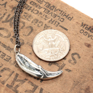 sterling coyote tooth necklace