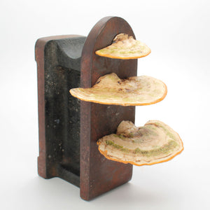 mushroom magnet set